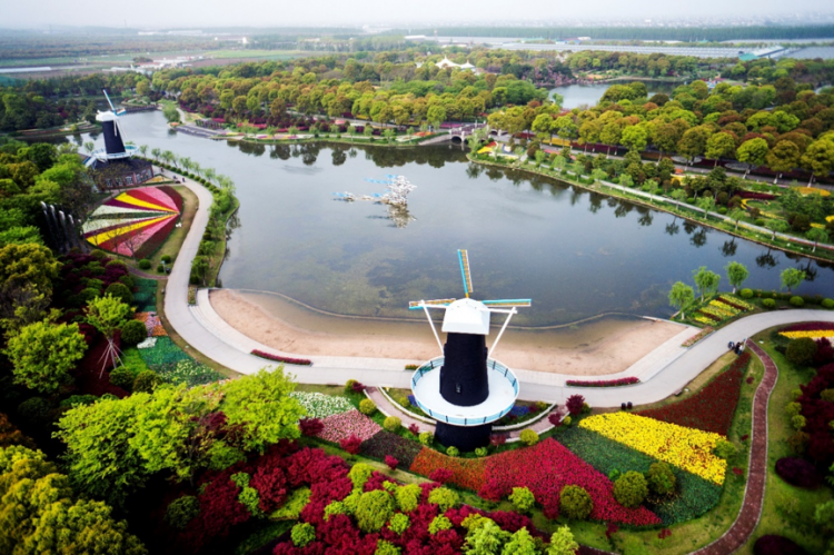 周浦花海上海世纪公园春暖浦东,正是赏花好时节!