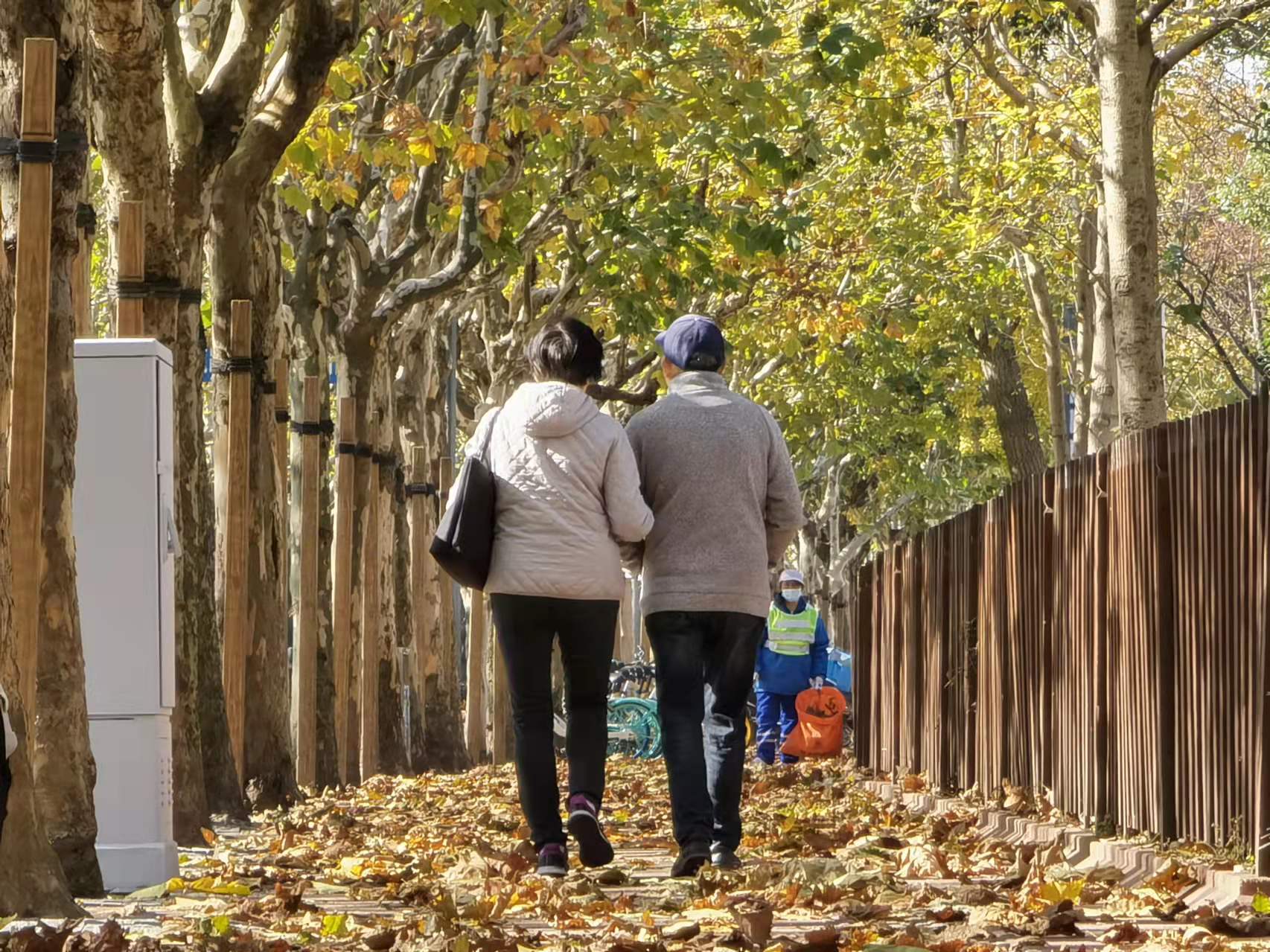 落叶不扫增添诗意 唯美秋景宛若童话