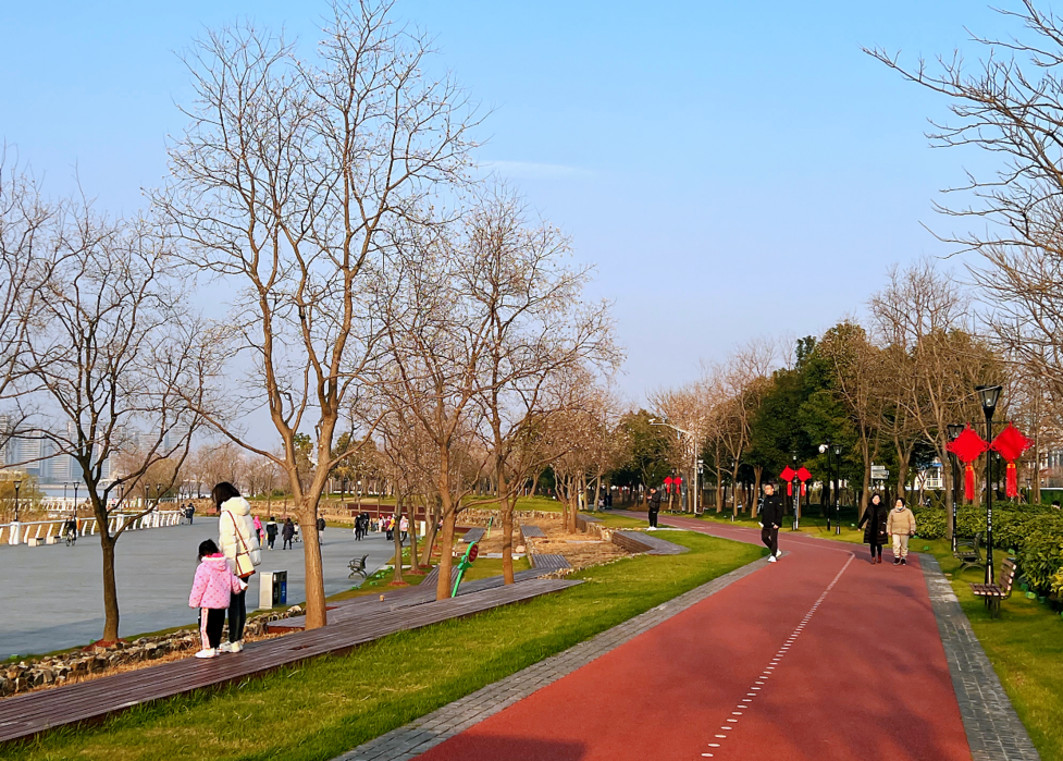 豆香園上南公園塘橋公園世紀公園陸家嘴中心綠地充滿了喜慶的節日氛圍